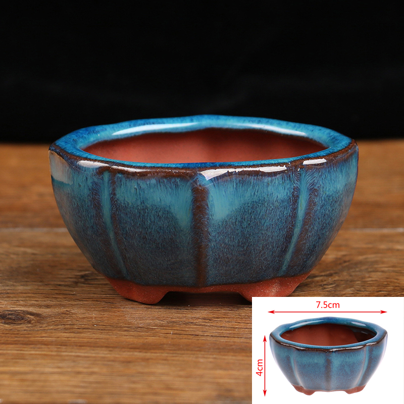 Echeveria Succulent - Mini maceta de cerámica para bonsái,