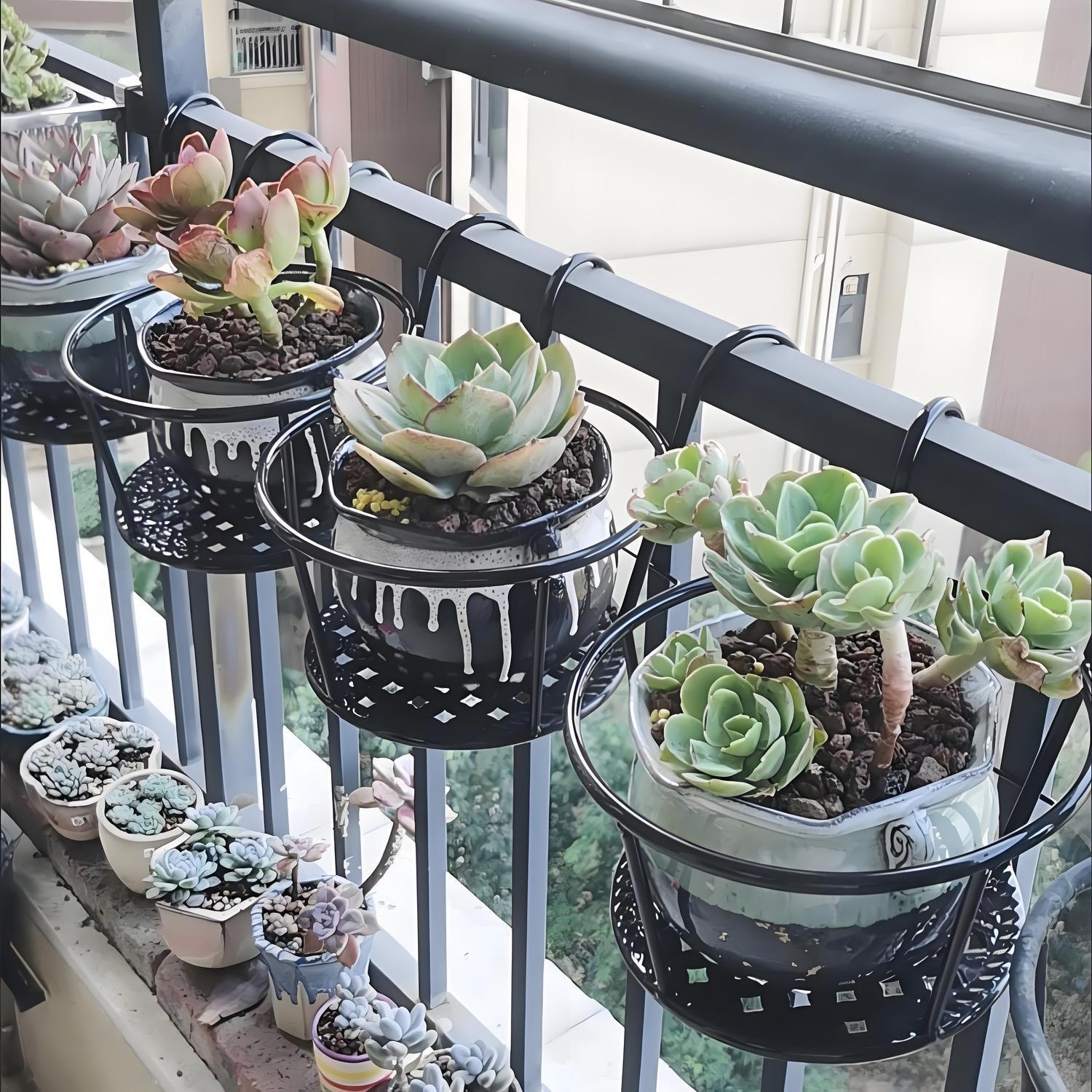 Canasta Colgante de Hierro For - Spider Plant Hanging reseña y precio