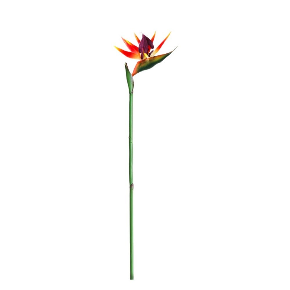 Planta Artificial de Pájaro de - Bird Paradise Strelitzia reseña y precio