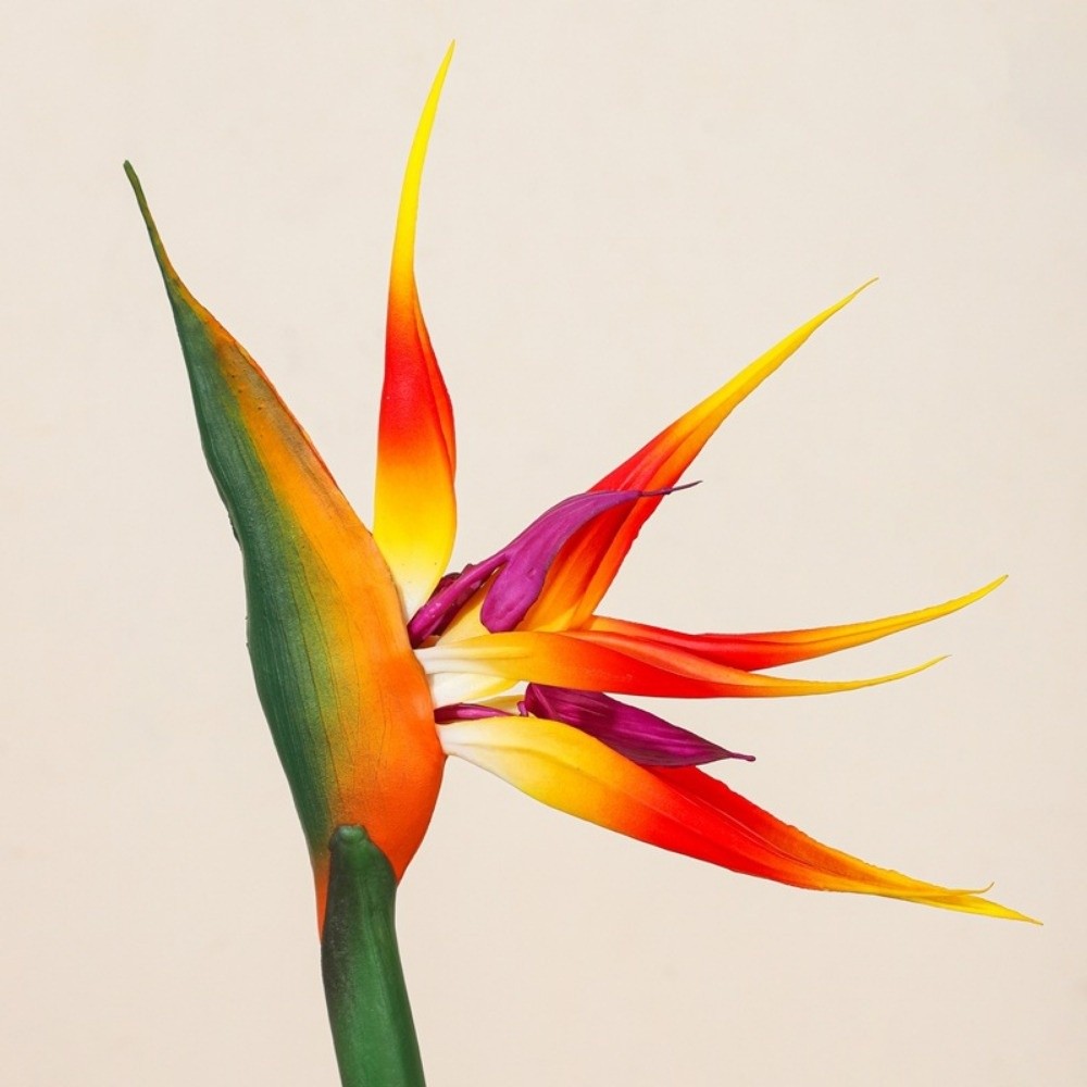 Planta Artificial de Pájaro de - Bird Paradise Strelitzia reseña y precio