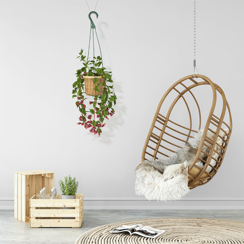Juego de 5 ganchos para colgar - Spider Plant Hanging reseña y precio