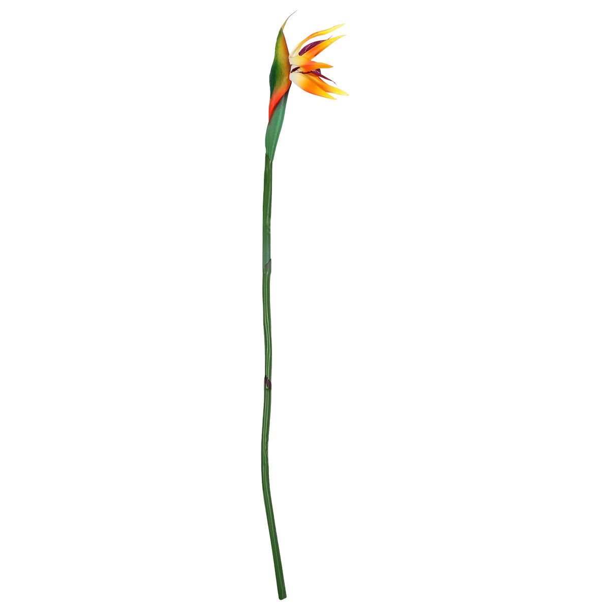Flor de Strelitzia Artificial  - Bird Paradise Strelitzia reseña y precio