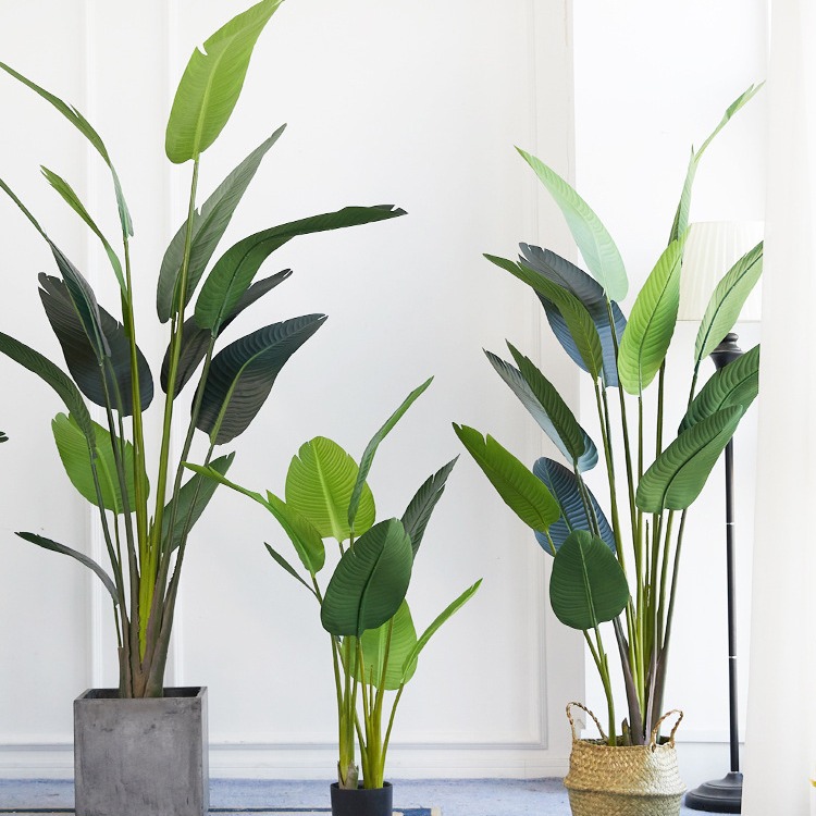 Plástico artificial en maceta  - Bird Paradise Strelitzia reseña y precio