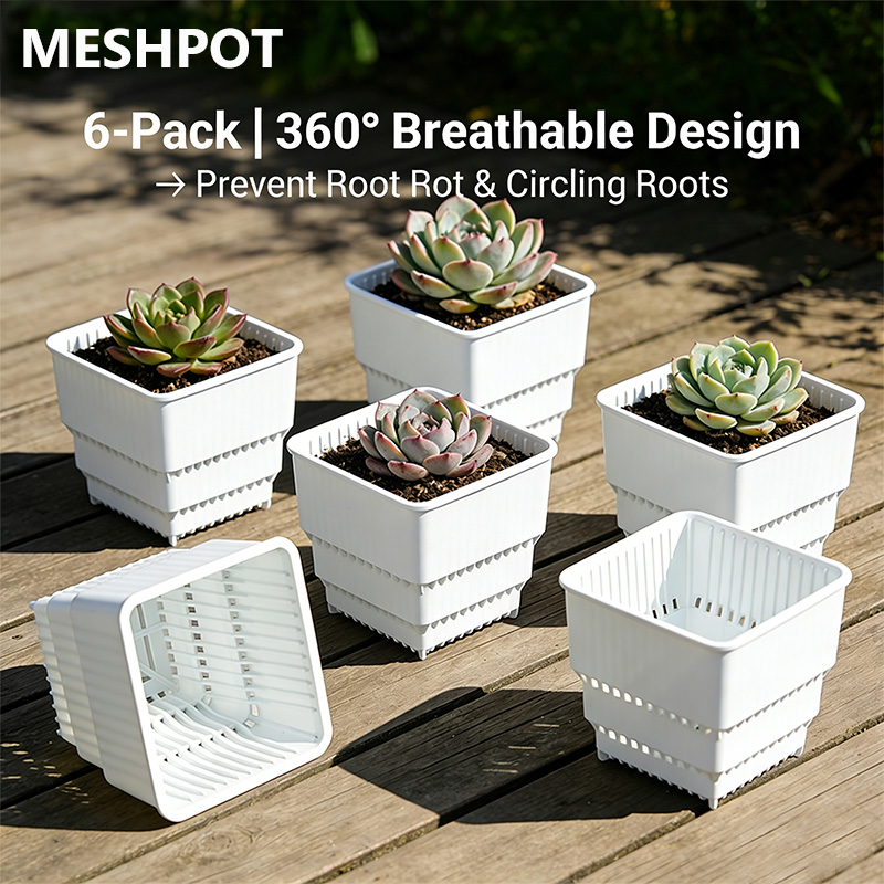 MESHPOT Juego de 6 Macetas Cua - Echeveria Succulent reseña y precio